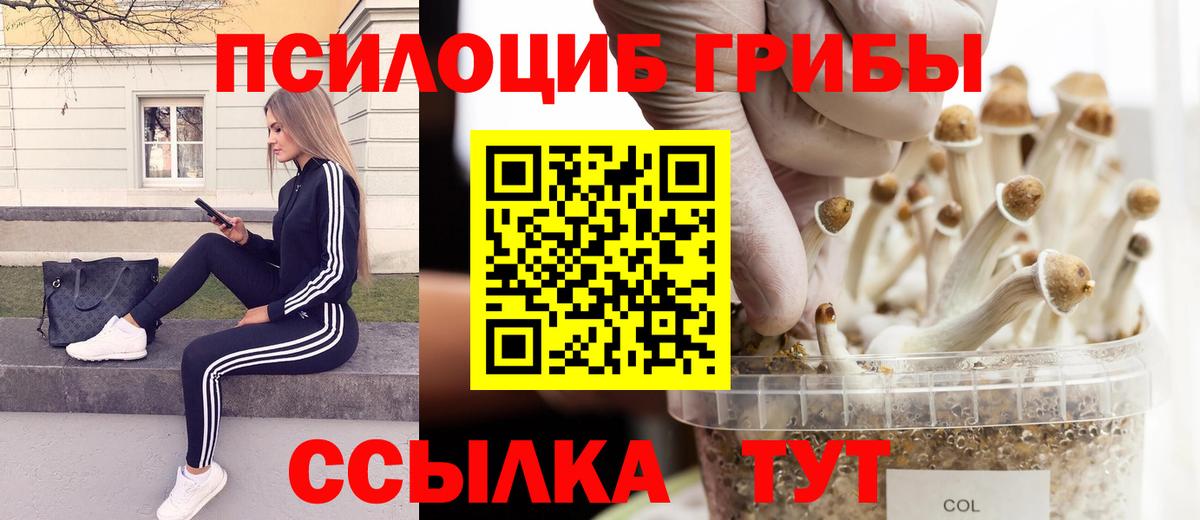 Псилоцибиновые грибы GOLDEN TEACHER  Вход с VPN  Сарапул 