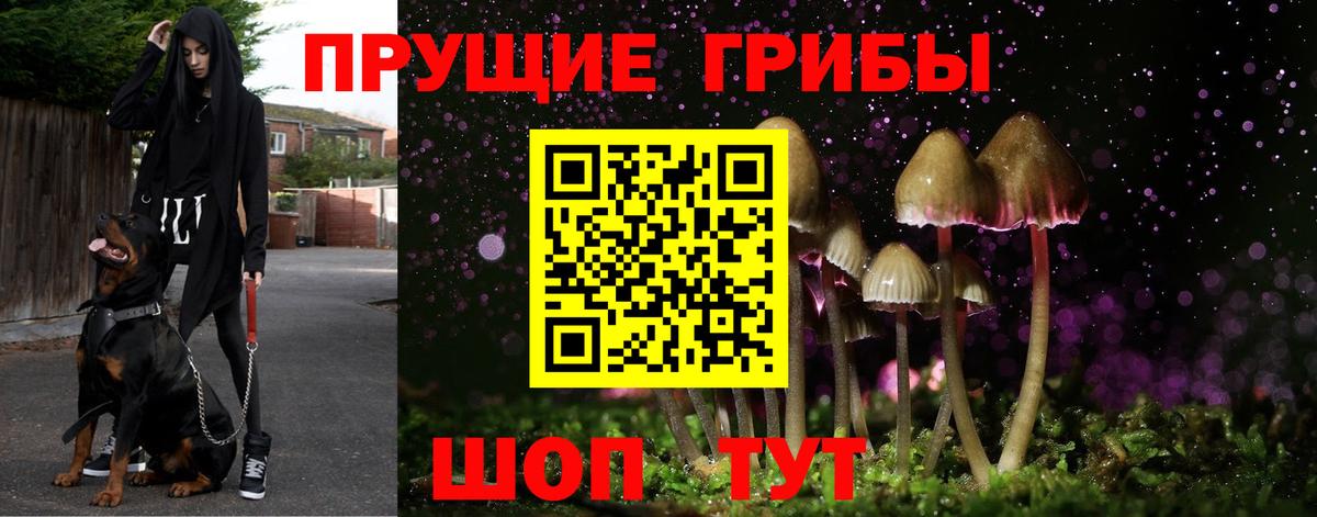 Псилоцибиновые грибы MAGIC MUSHROOMS Сарапул